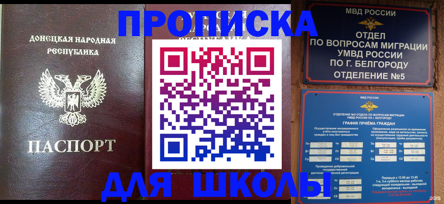 прописка для работы в Мамадыше